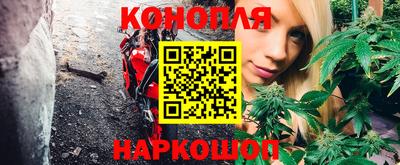 шишки Татарск