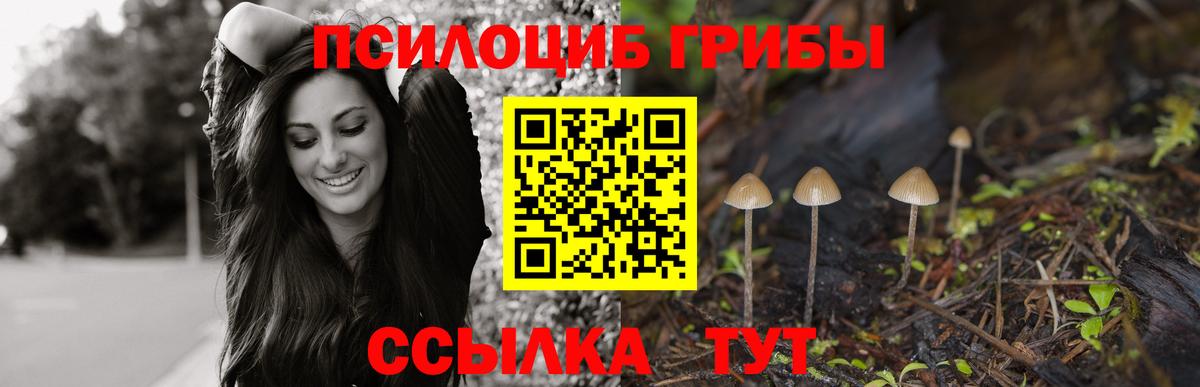 Галлюциногенные грибы мухоморы Новотроицк